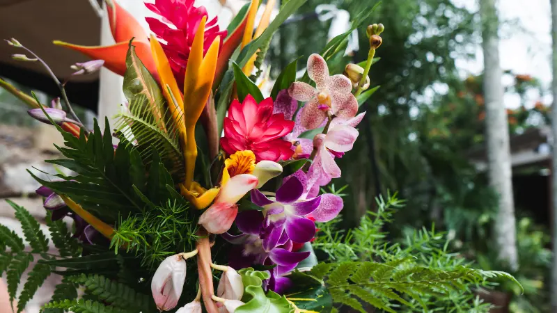 Illustration : Composition florale et végétale pour vos évènements
