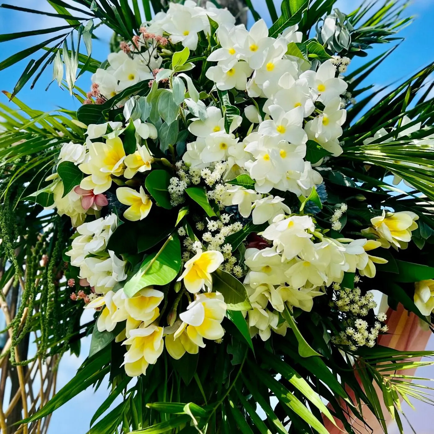 Composition florale en frangipanier sur arche de mariage avec feuillage tropical en Martinique