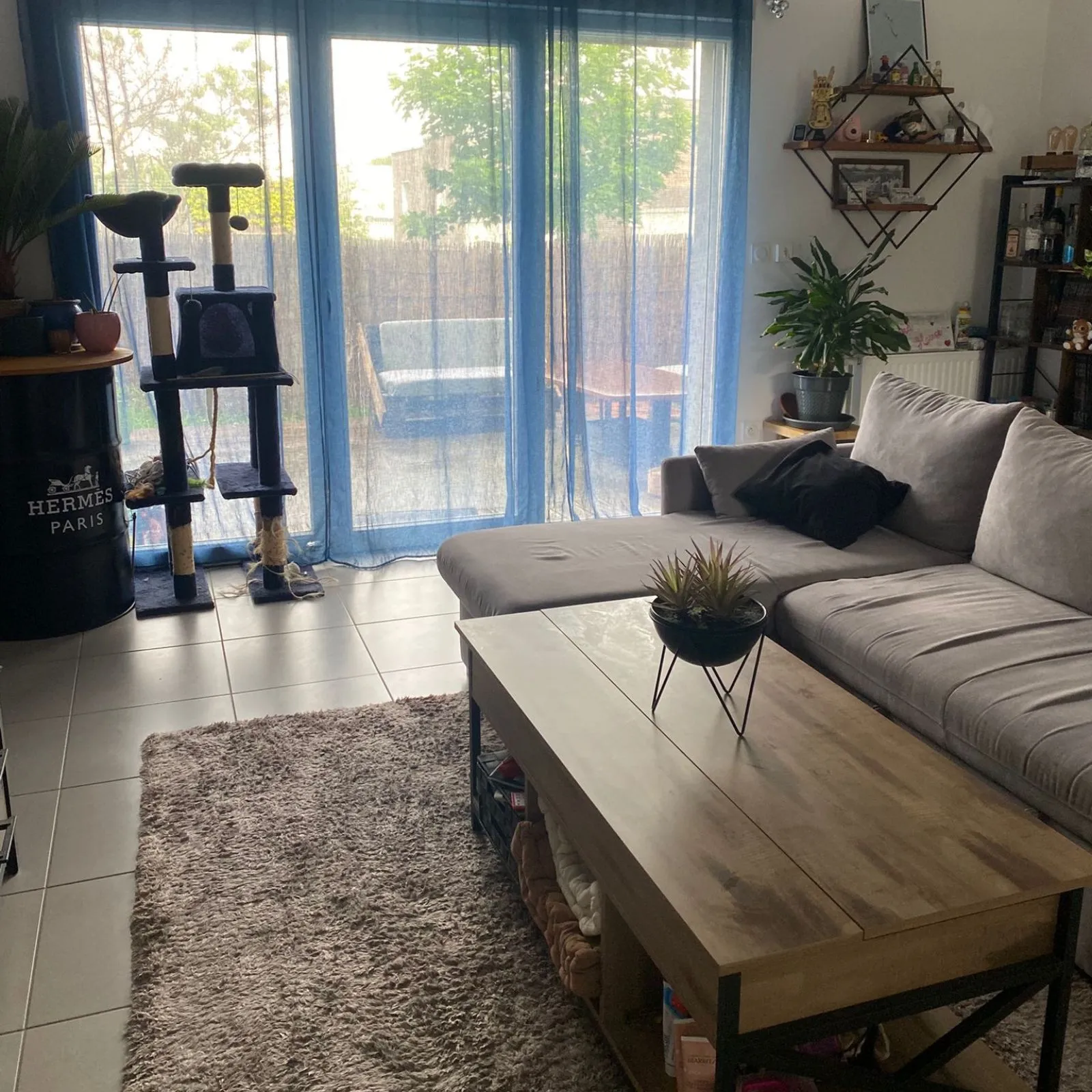 Avant après réaménagement salon appartement étudiant en Martinique avec optimisation de la lumière et des textiles