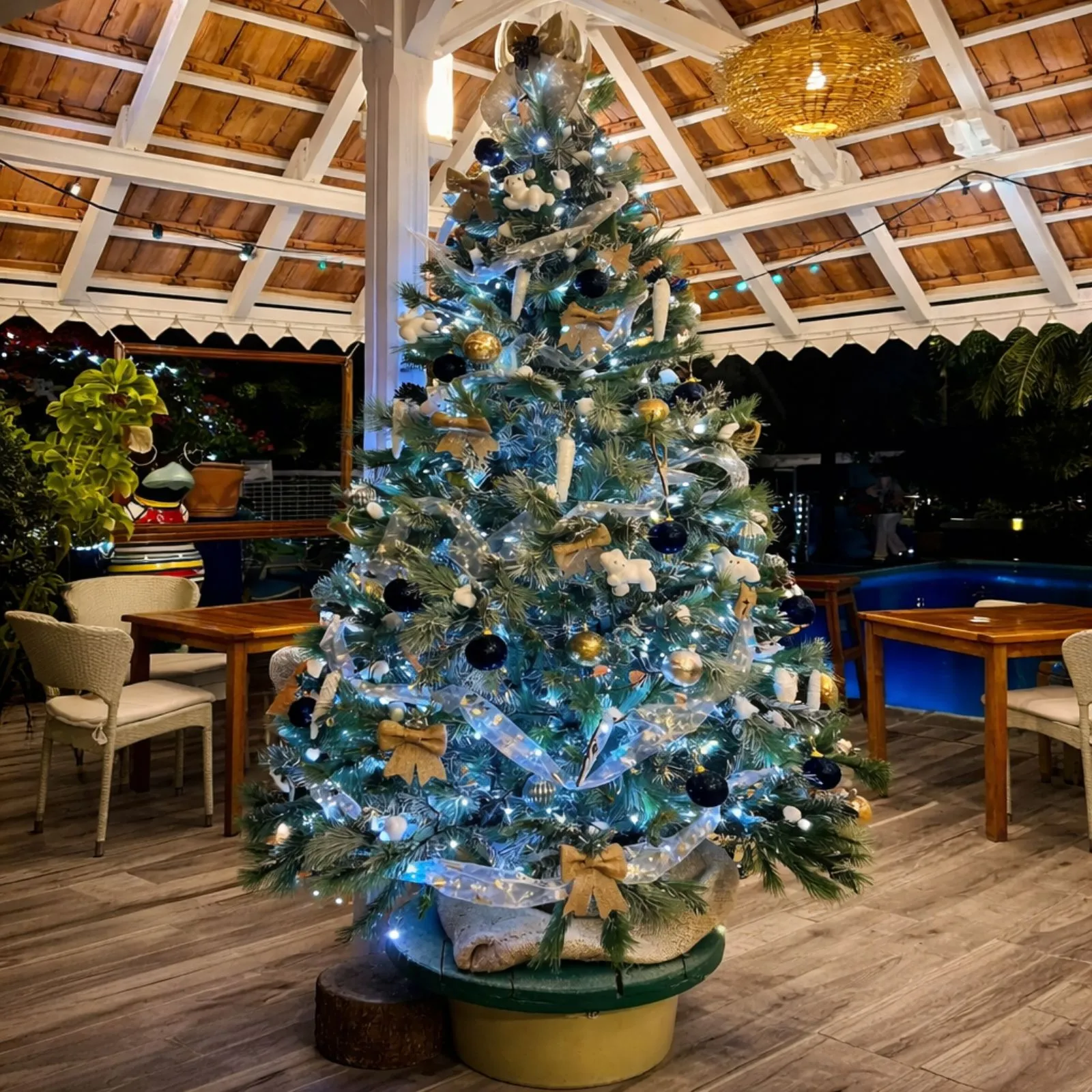 Sapin de Noël décoré en bleu et or dans un restaurant d’hôtel en Martinique avec guirlandes lumineuses