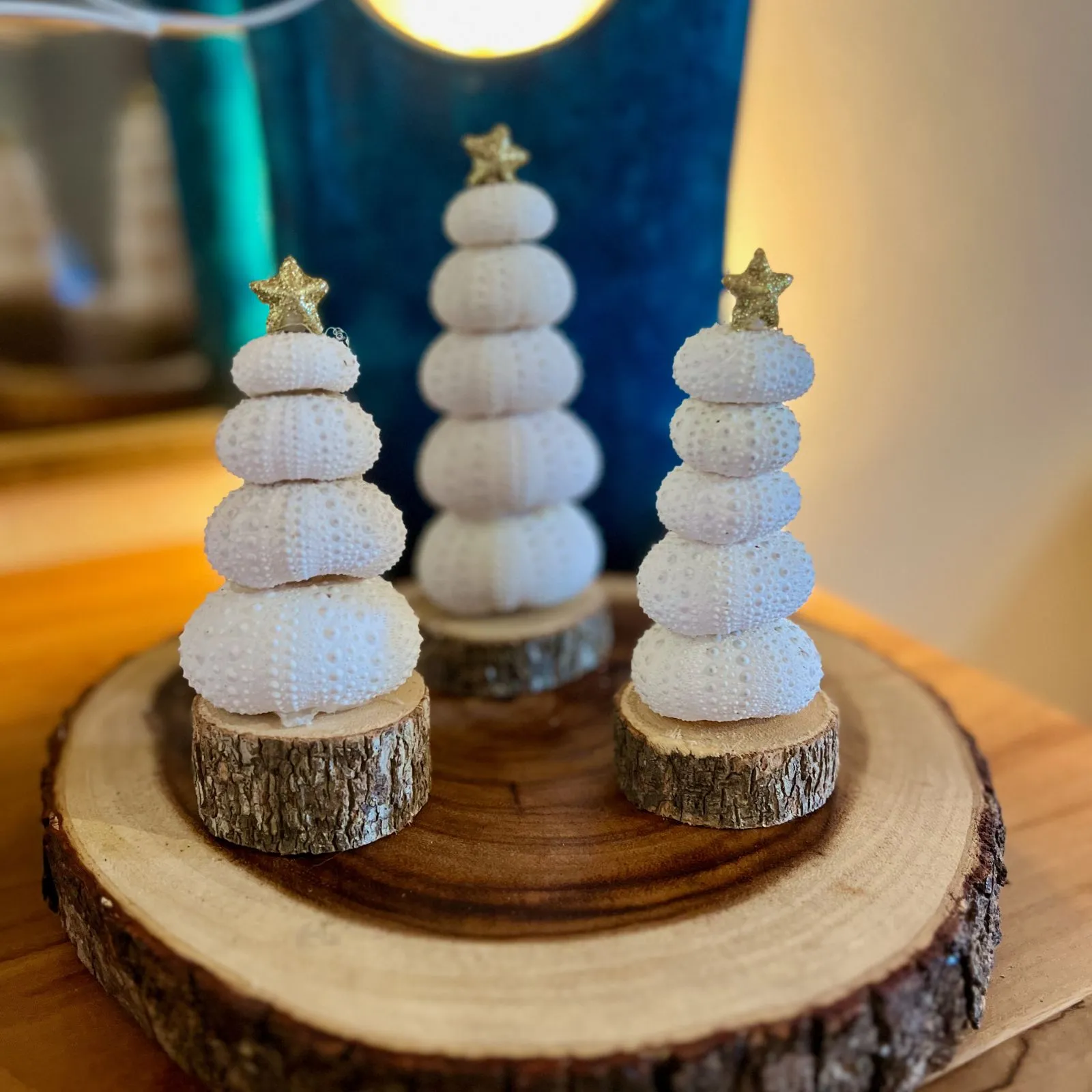 Sapins de Noël en oursins blancs sur rondins de bois, décoration artisanale naturelle en Martinique