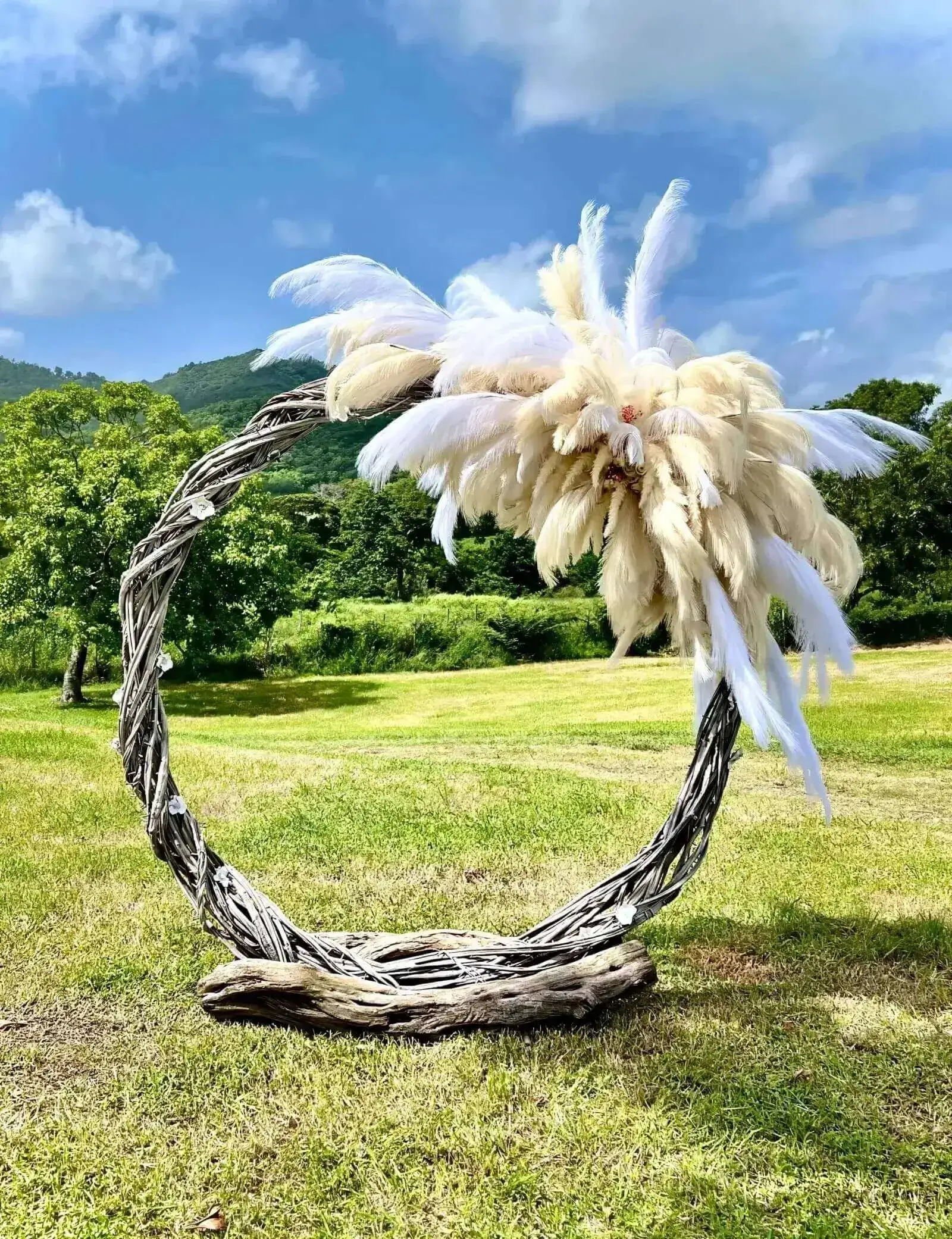 Arche ronde en lianes naturelles pour cérémonie ou décoration événementielle en Martinique