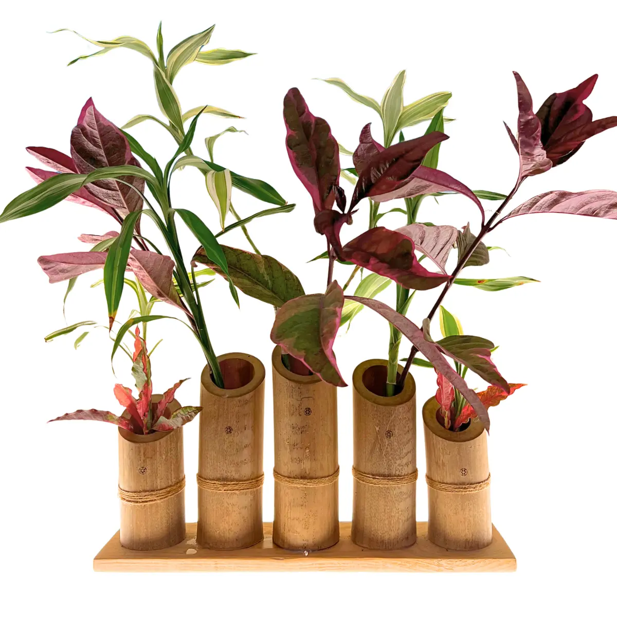 Vases en bambou sur socle en bois pour compositions florales et décoration évènementielle
