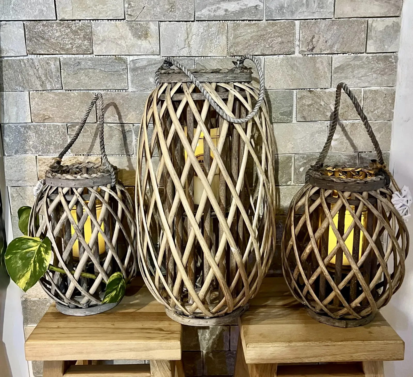 Lanternes en osier gris et verre utilisées comme éléments décoratifs, supports végétaux ou luminaires