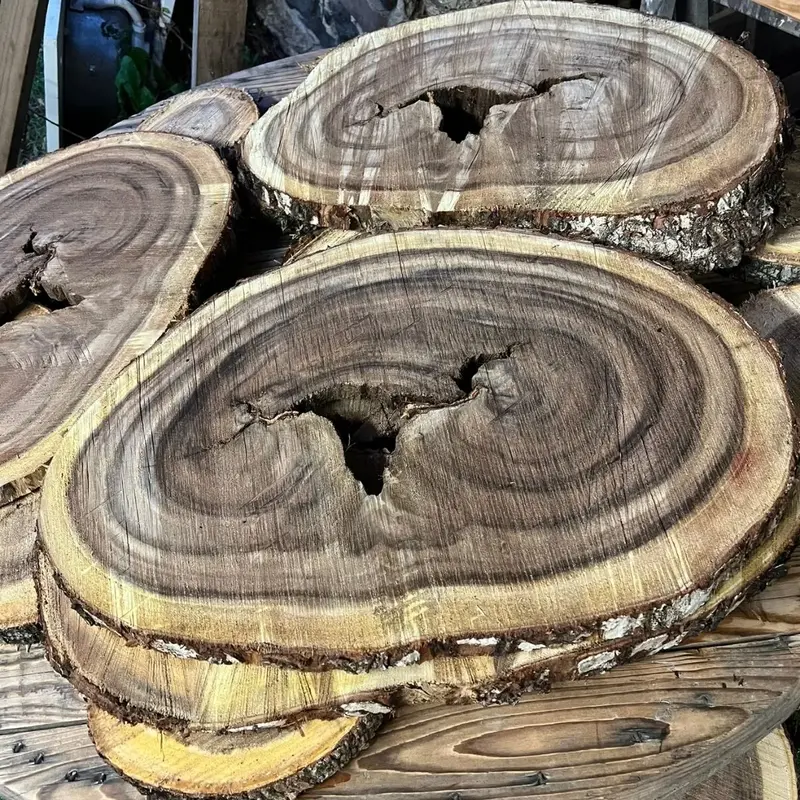 Grandes tranches décoratives en bois de Zamana local utilisées comme supports de décoration événementielle
