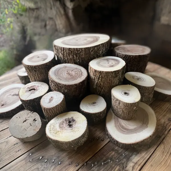 Ensemble de rondins de bois empilés, support de décoration modulable pour évènement en Martinique