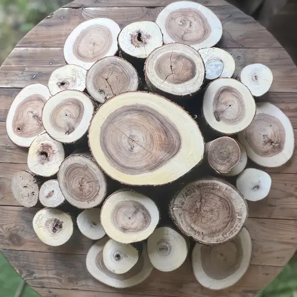 Ensemble de rondins de bois empilés, support de décoration modulable pour évènement en Martinique