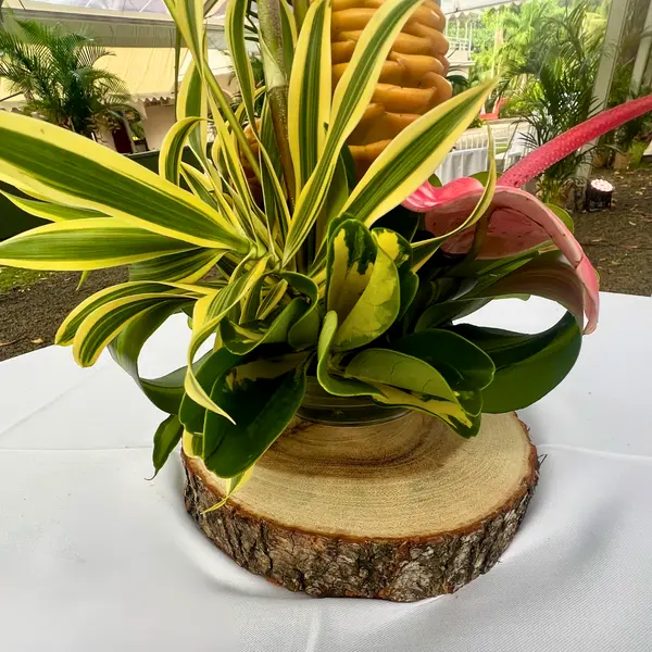Rondin en bois de Zamana local 20 cm utilisé comme support décoratif