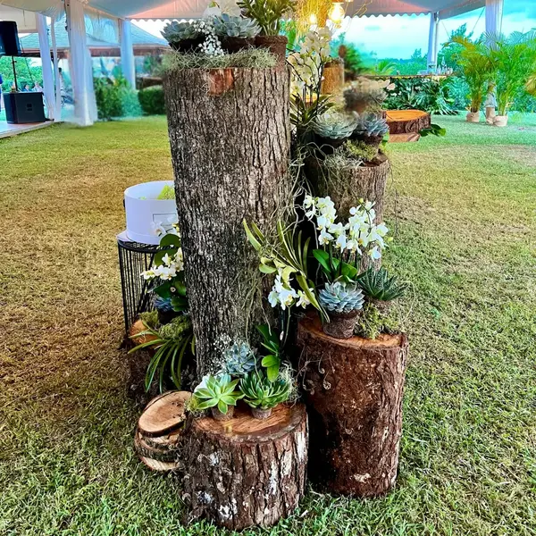 Troncs en bois de Zamana local utilisés en décoration évènementielle pour structurer des espaces