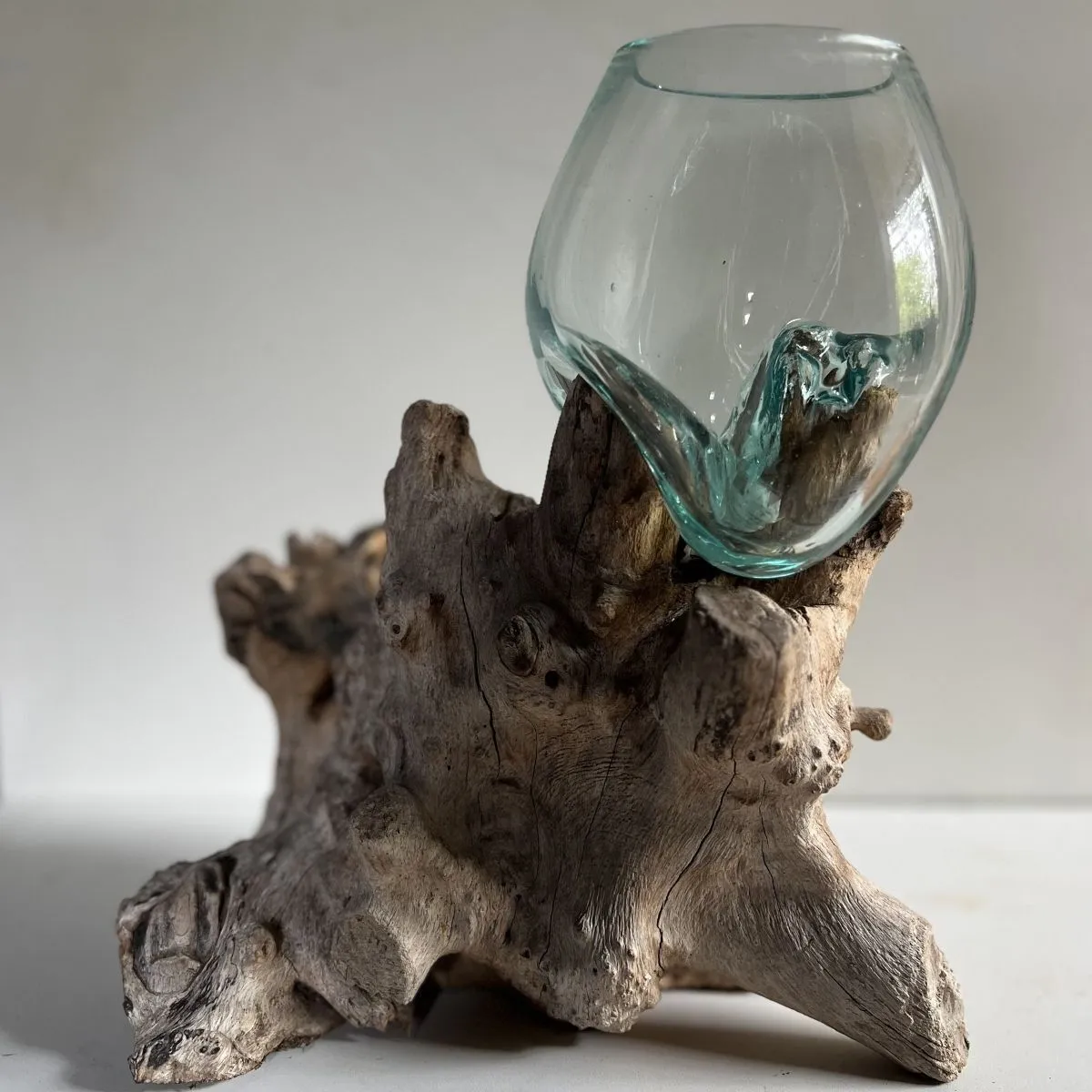Vase en verre soufflé sur racine de bois naturel utilisé comme pièce décorative
