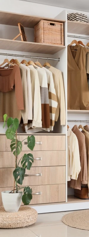 Organisation, rangement et optimisation d'espace