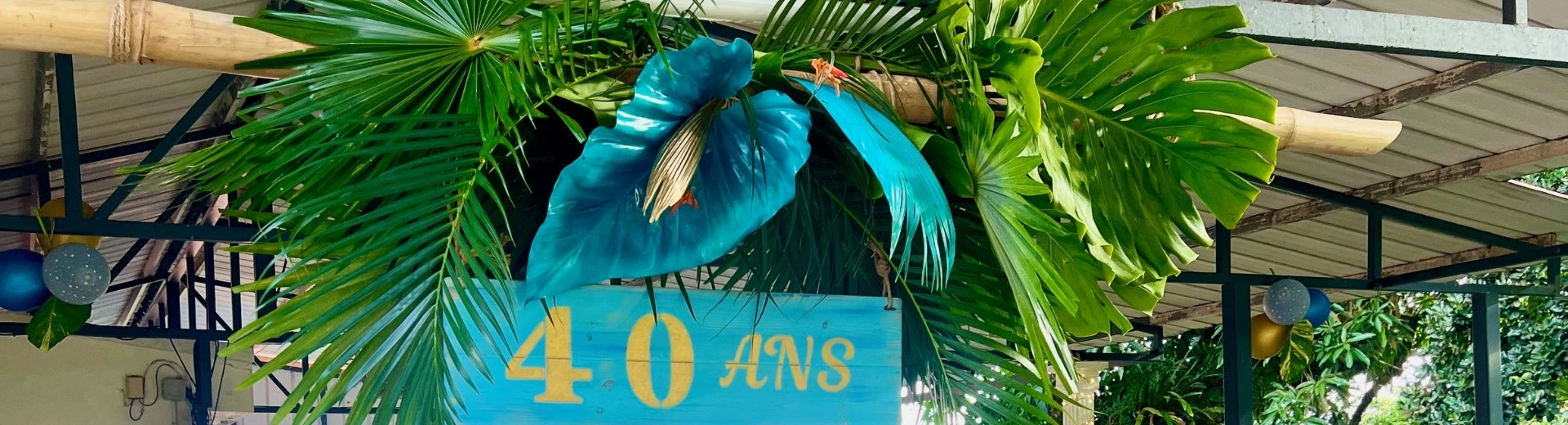 Composition végétale et florale pour décoration d'anniversaire en Martinique