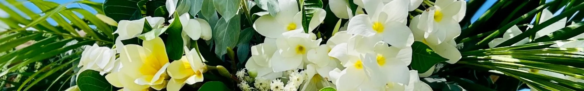 Compositions végétales et fleurs tropicales décoratives en Martinique